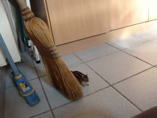 Rencontre KitKat et Naïade 6