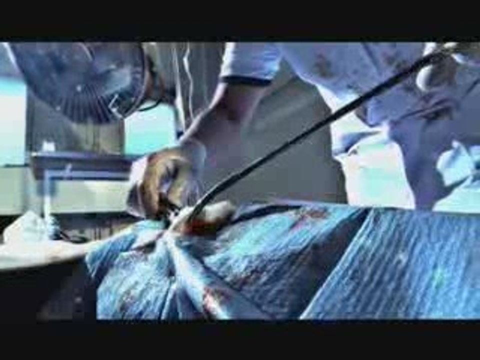 LIM FEAT SAMAT ET MEIDAY - EST CE DONC SA ?