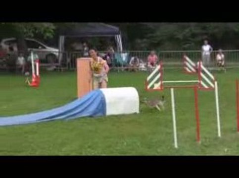 Boom Jumping Agility Chambery 14/06/2009