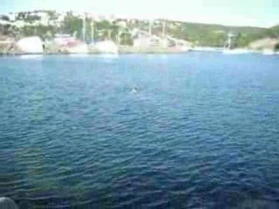 poyrazköyde
