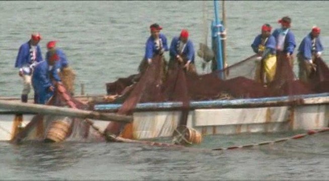 Touchez pas à la mer - Japon - Antoine