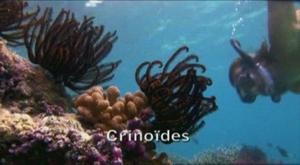 Touchez pas à la mer - Palau - Antoine