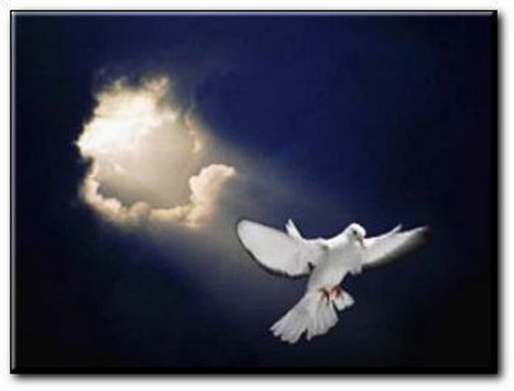 Kizito Mihigo - Vive le Rwanda, Vive la France, Vive la Paix