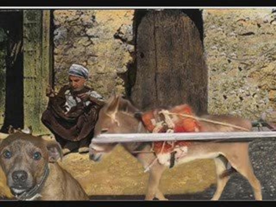 tunisie, tunisia, Zied el hani, tounes, tunis