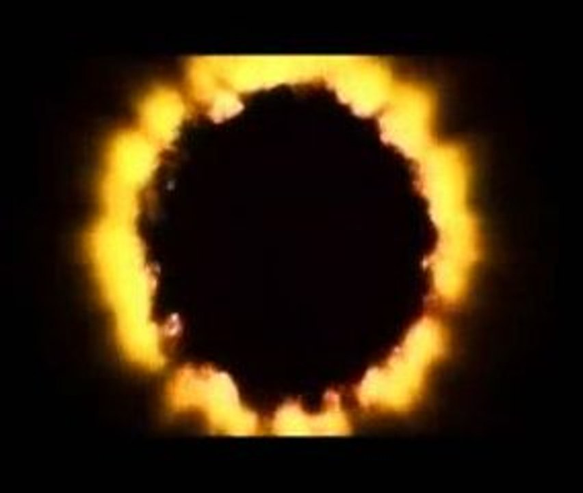 Schwein - You're My Disease
