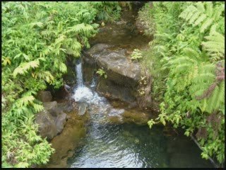 Jon Hartmann Music - The 10th House