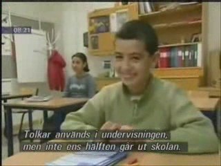 Swedish Multicultural Challenges: The Impact of Muslim Immigration 🇸🇪