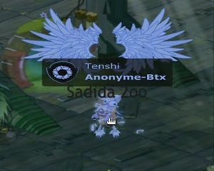 Sadida Dommage level 2oo - Anonyme-Btx.