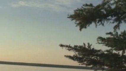 Micro Butterfly Flying at Night By the Lake