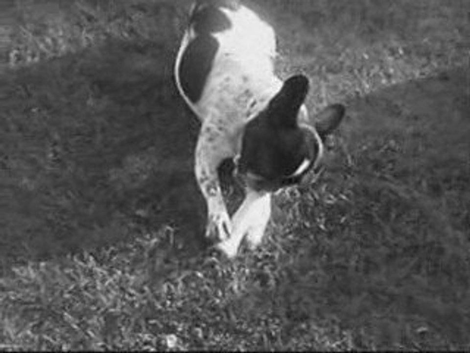 MARDI 16 JUIN EN NOIR ET BLANC