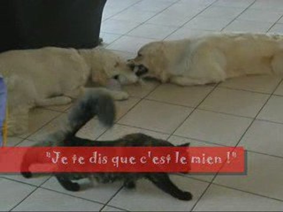 Les filles et les Nounours !