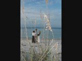 Love Affair Weddings - Sarasota Wedding Photography