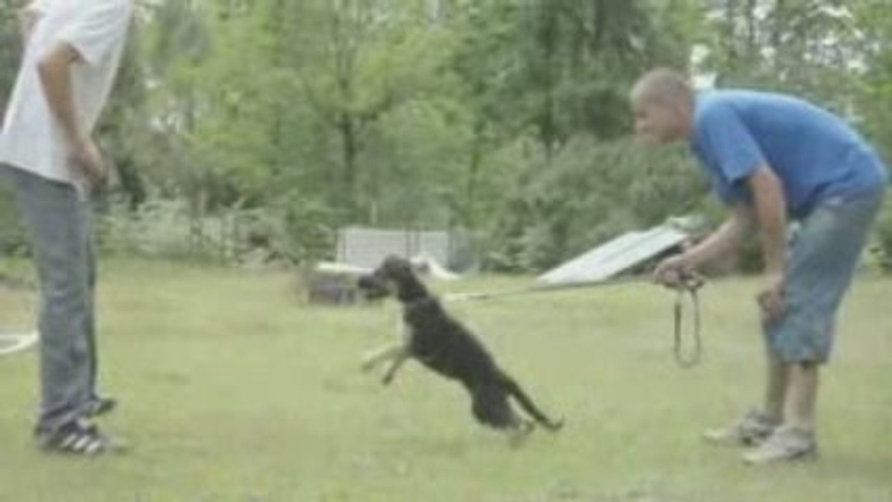 B.A 2 mois 1/2 Ebby des Fidèles du Marsan