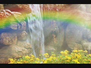 Natural Insomnia Cure!