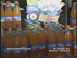 Bu Toprağın Sesi 2.3