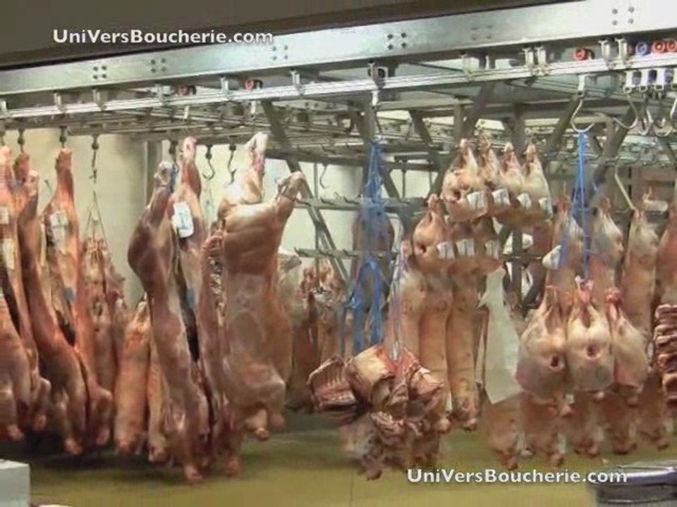 Rungis, le pavilon de la viande