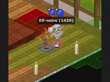 dofus iop terre 13X Elf-noire