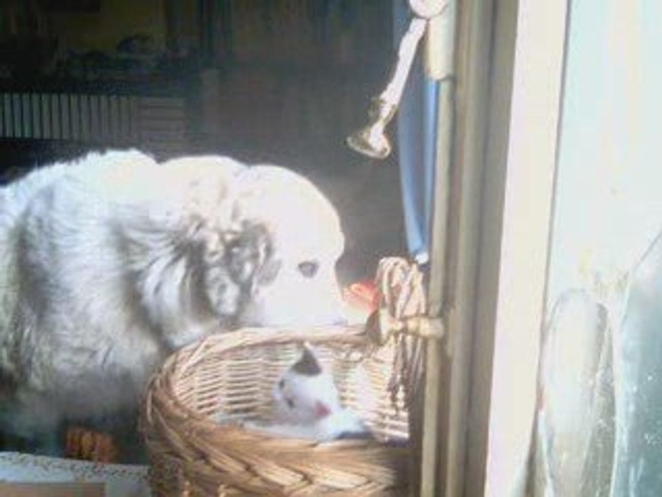 2009-06-09-BELLE