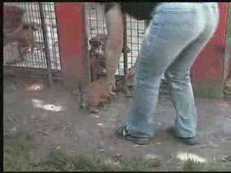 dina 1 mois et demi (3)