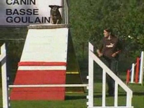 cheyenne miko agility