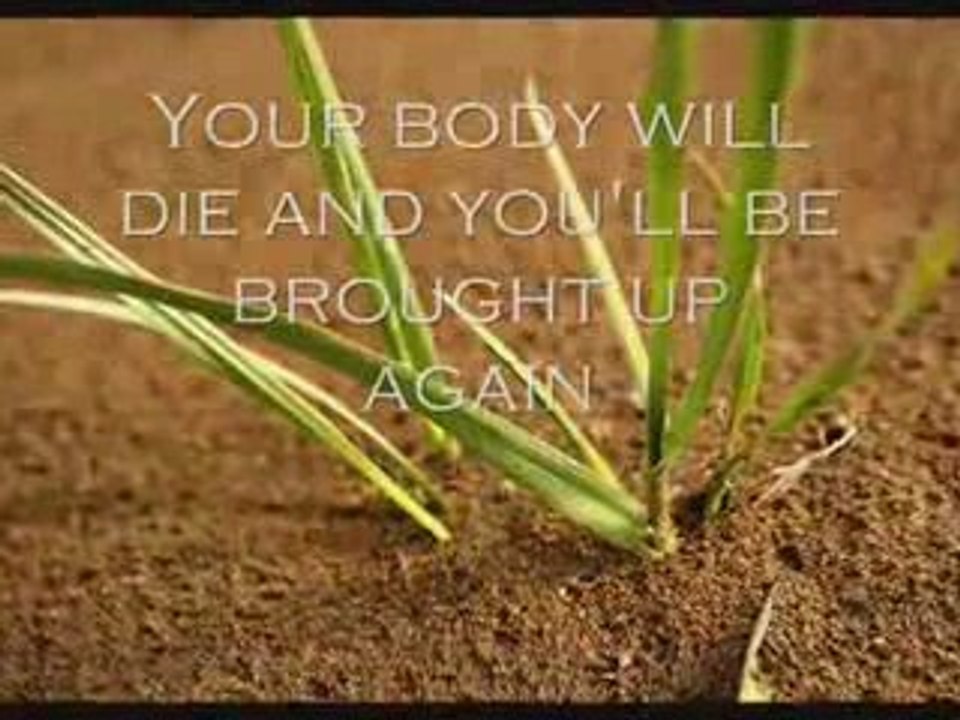 Open Book Open Life Test - Best Nasheed song