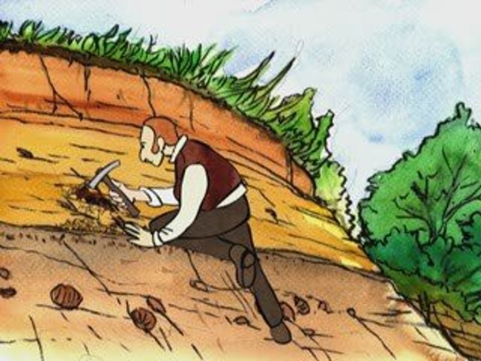 Darwin auf den Spuren der Evolution