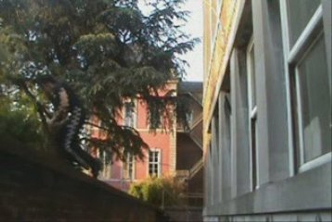 Belgian Parkour - Nos rêves