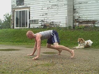 How to Move on All Fours: Basic Crawling Fundamentals