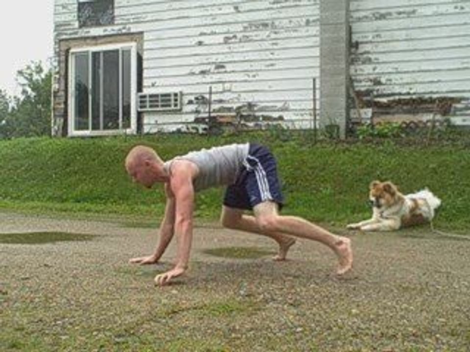 How to Move on All Fours: Basic Crawling Fundamentals