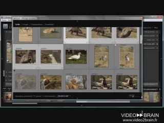Lightroom 2 : L'affichage double-écran