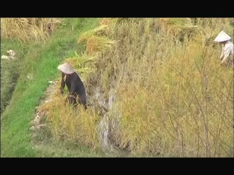 commerce équitable Laos artisans du monde