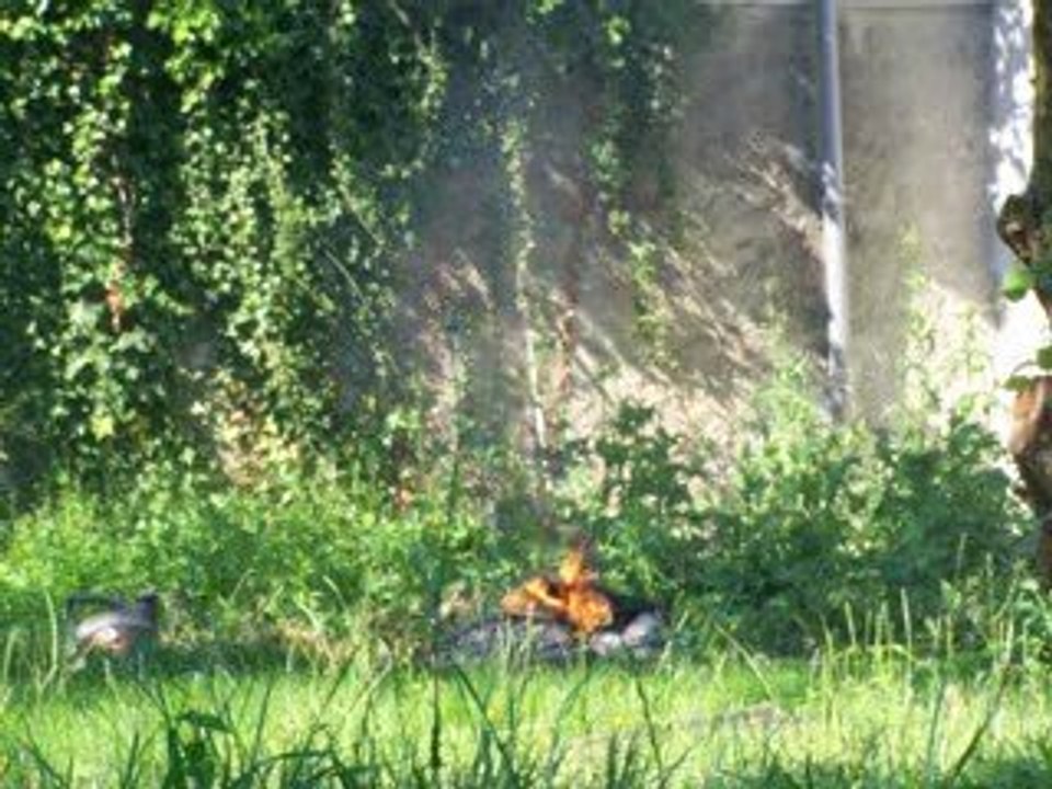explosion d'aerosol dans un feu