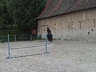 seance du 24/06 + saut a cru ^^