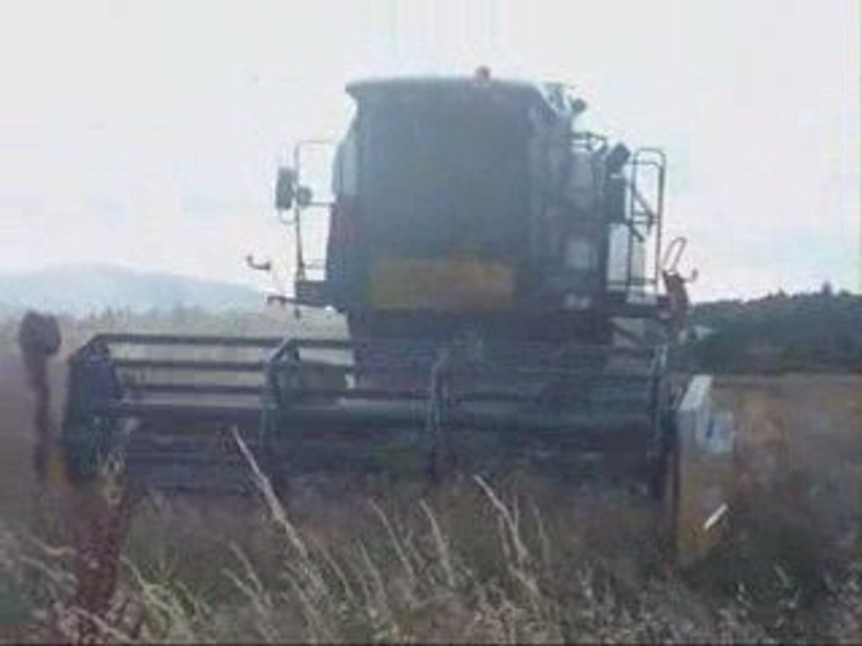 Moisson de Colza 2009