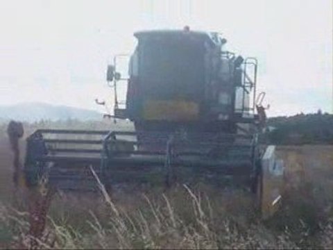 Moisson de Colza 2009