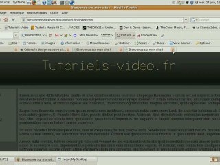 Faire un site web : design extensible