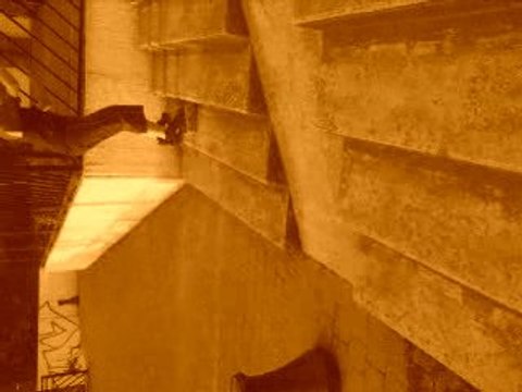 Monter les marches en 12 secondes