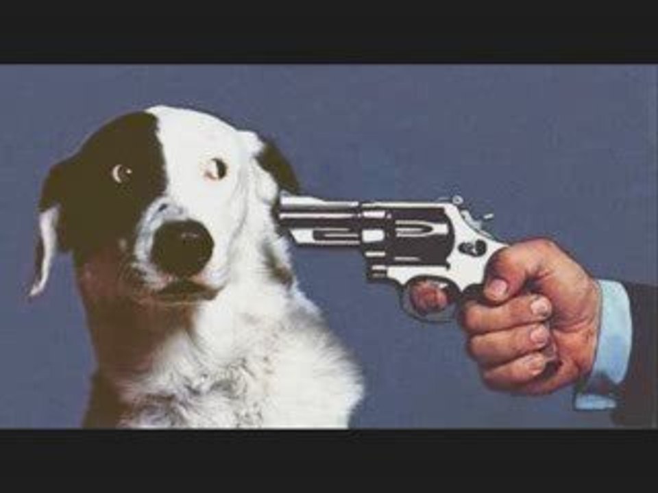 Chaos Theory covering "Kiling in the Name" by RATM