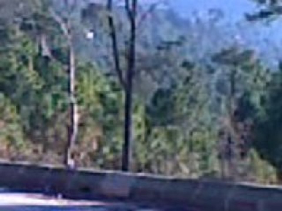MUREE (5)