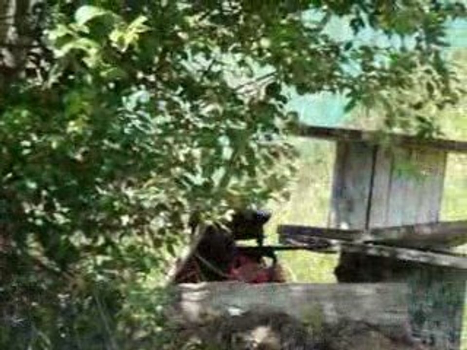 Paintball creutzwald