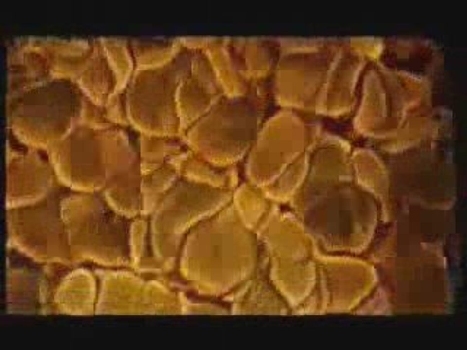 Emperor-kiss kiss (tarkan cover)