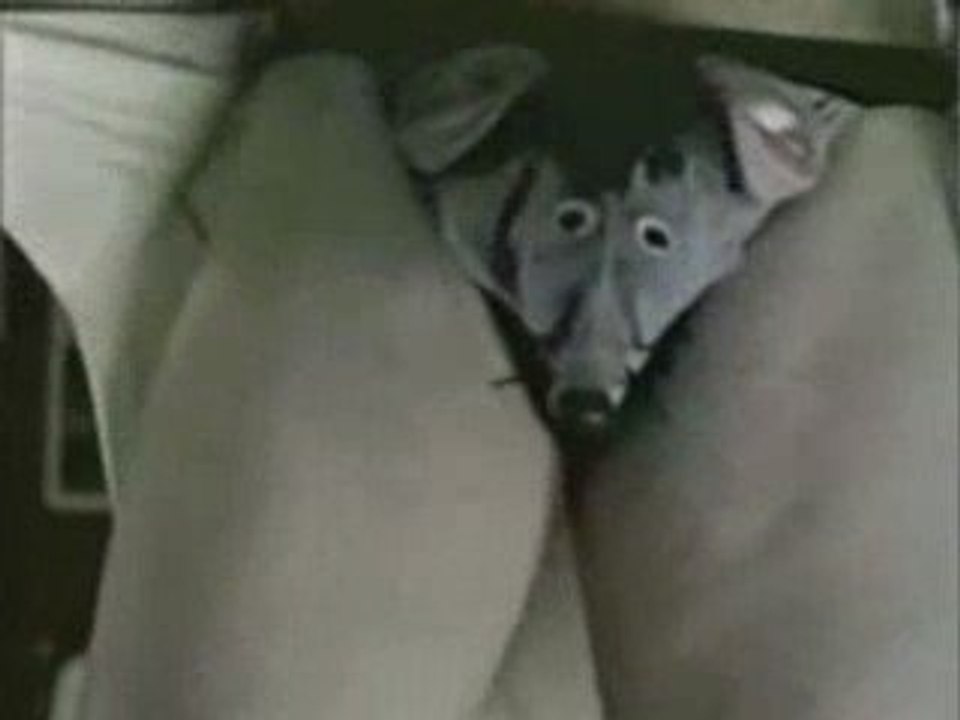 Pub humour strip tease de mec avec slip souris