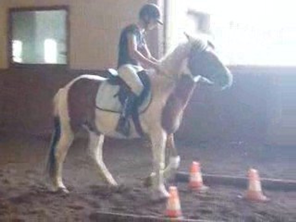 Charlotte & Cochise 2 Concours Juin 2009