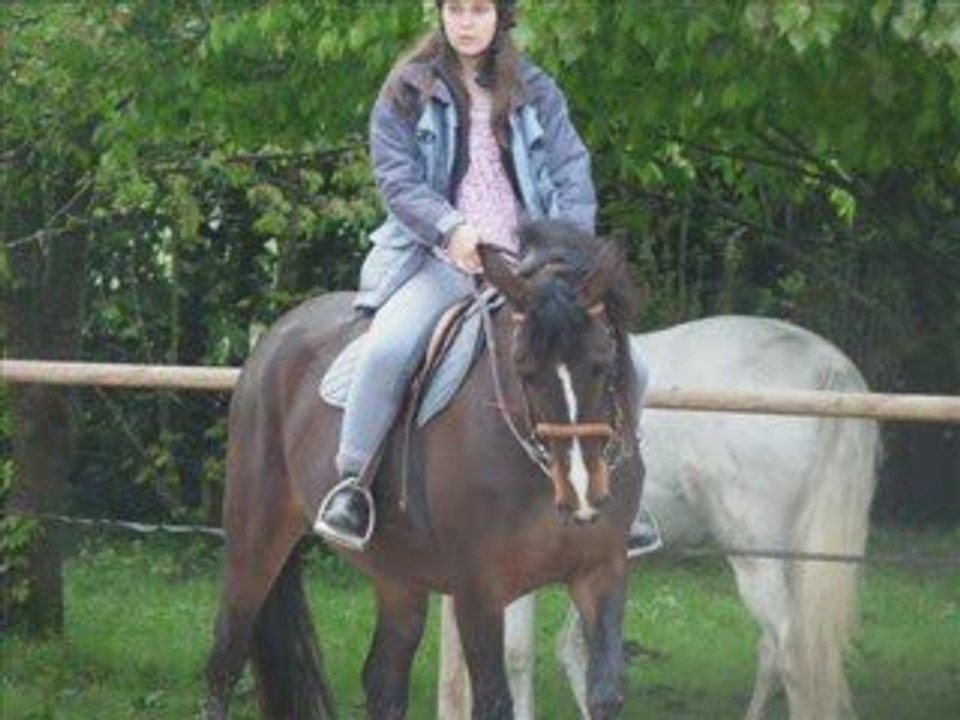 dressage avec Razièle, 4 ans