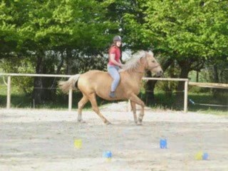 Caroube 1er mai