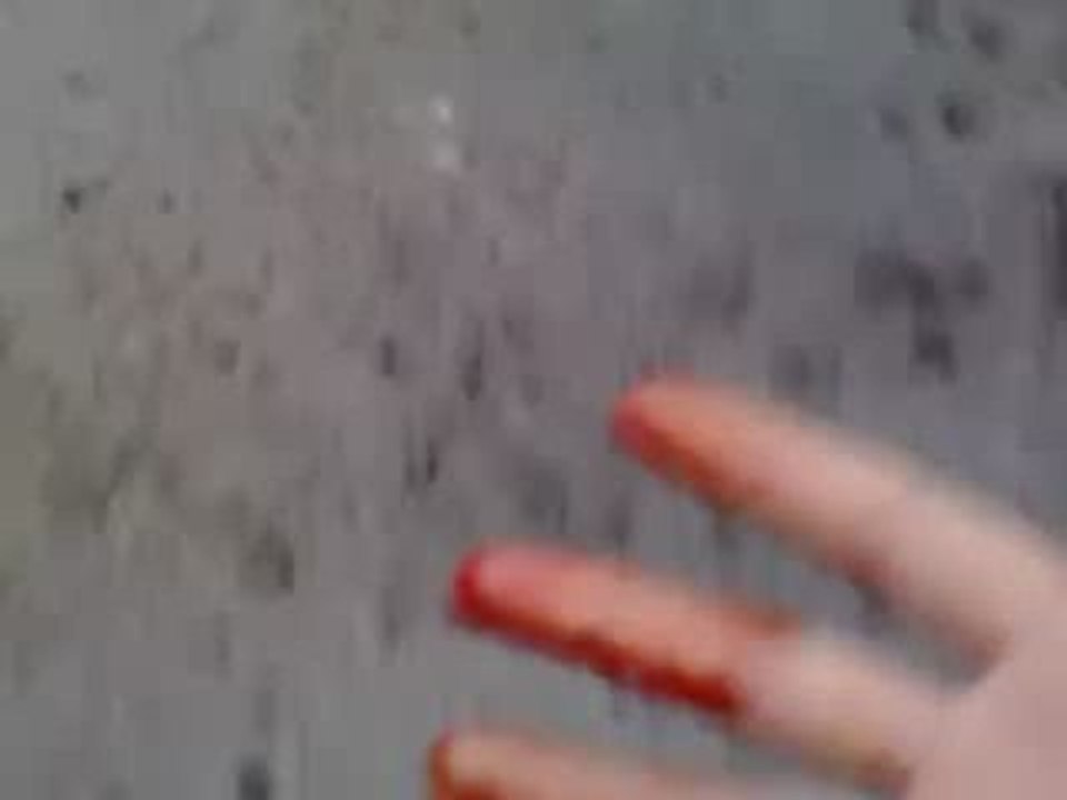 Iran after election 2009 Basijis are shooting at civilans