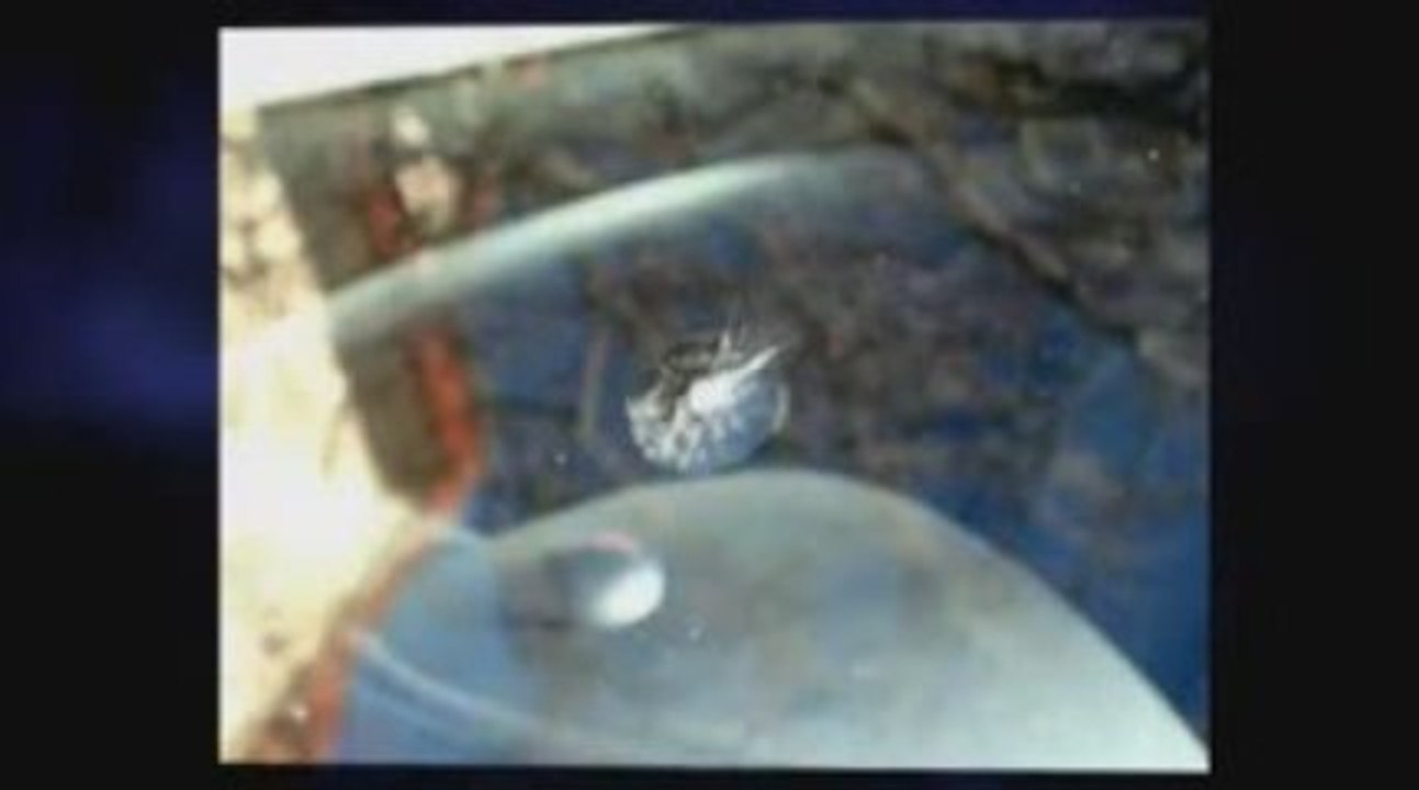 Norfolk Windshield Repair and Replacement