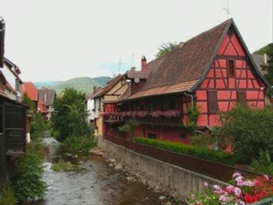 ma rose d'alsace