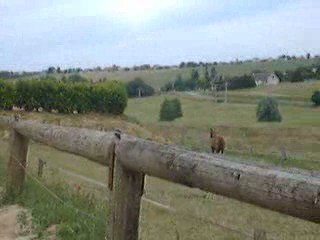 Quartz se déchaîne