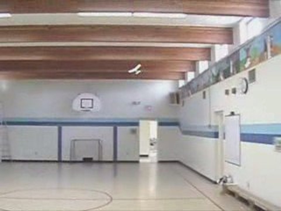 Micro RC Plane Doing Tricks in the Front Yard